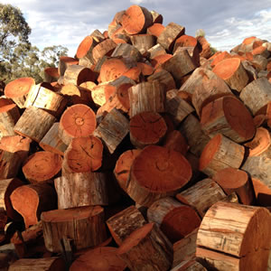 unsplit firewood